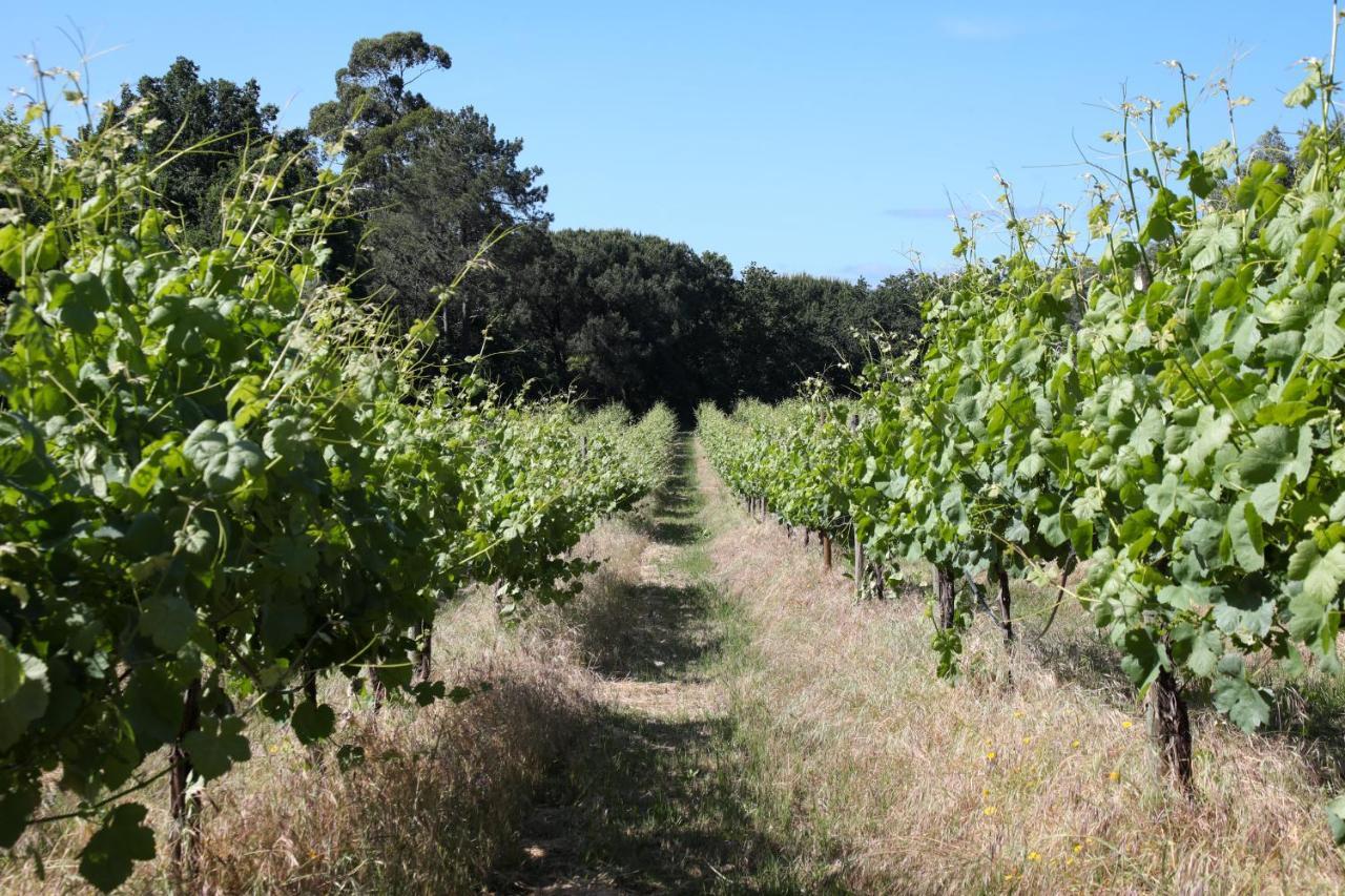 Quinta De Chousas - Braga - Agroturismo Exteriér fotografie