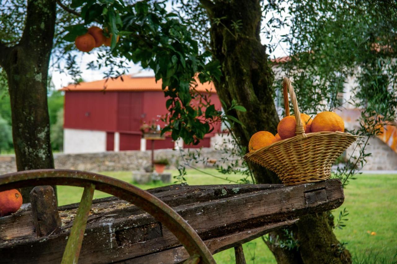 Quinta De Chousas - Braga - Agroturismo Exteriér fotografie