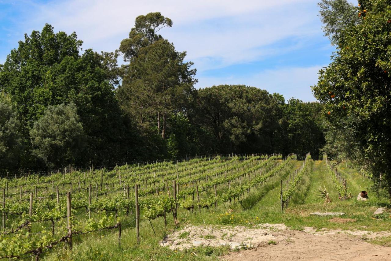 Quinta De Chousas - Braga - Agroturismo Exteriér fotografie